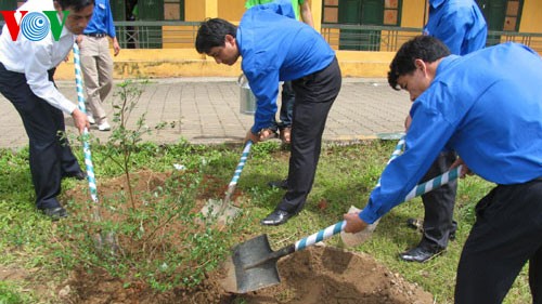 Nhiều địa phương phát động Tết trồng cây Xuân Giáp Ngọ năm 2014 - ảnh 1